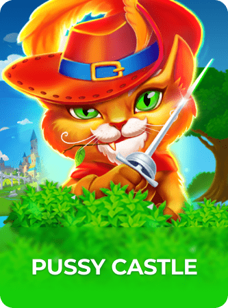 pussy castle